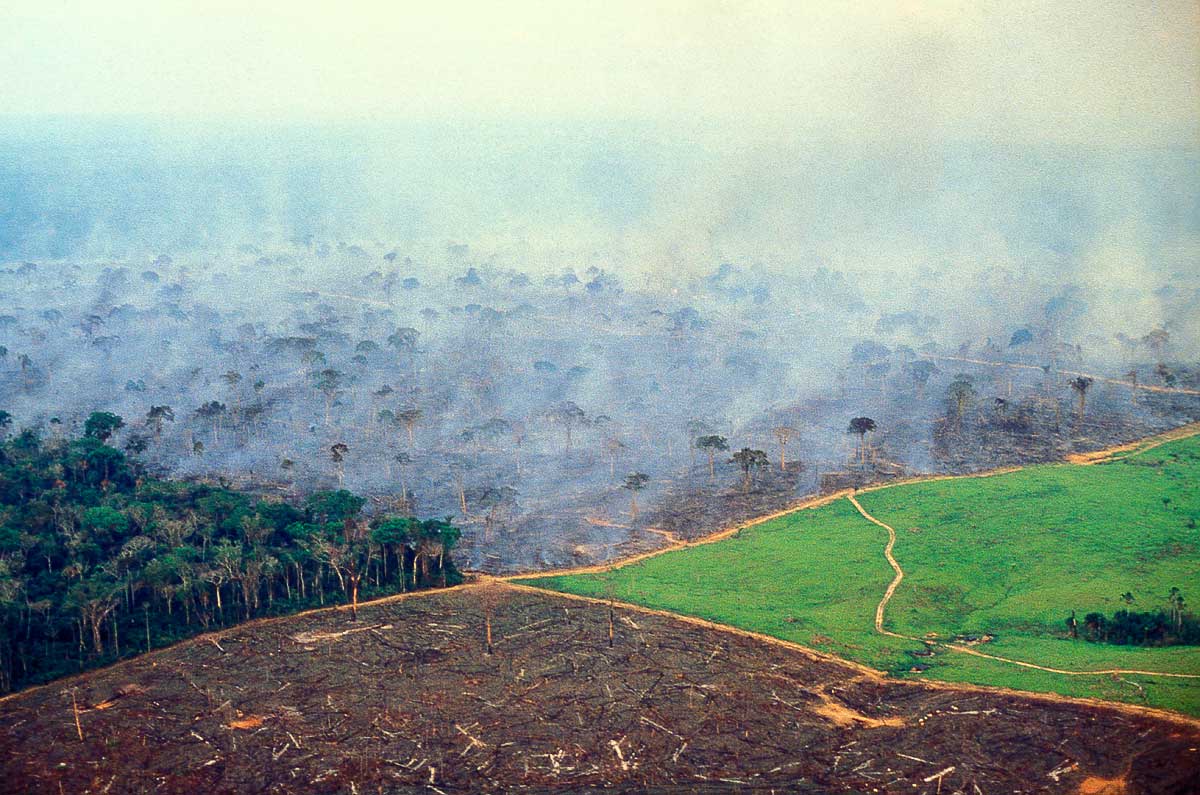 Amazon deforestation burning forest